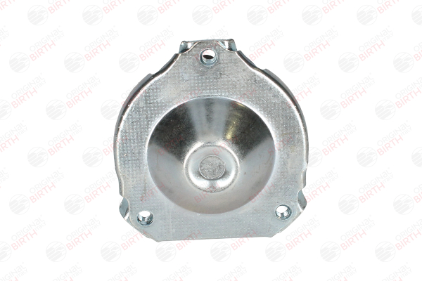 OEM A1233301335 BIRTH Snodo assiale 5485 per MERCEDES-BENZ