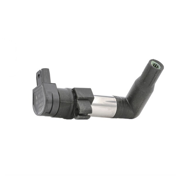 OEM 12137715856 BERU Sytytyspuola ZS384 varten BMW