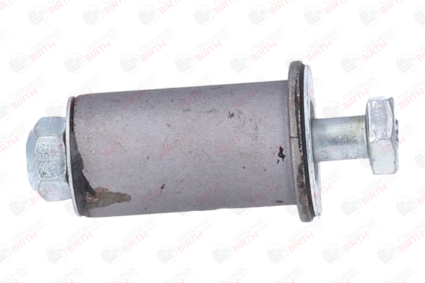 OEM A2024600319 BIRTH  Reparatursatz, Umlenkhebel 5574 für MERCEDES-BENZ