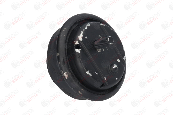OEM 11811139883 BIRTH Supporto motore 5679 per BMW