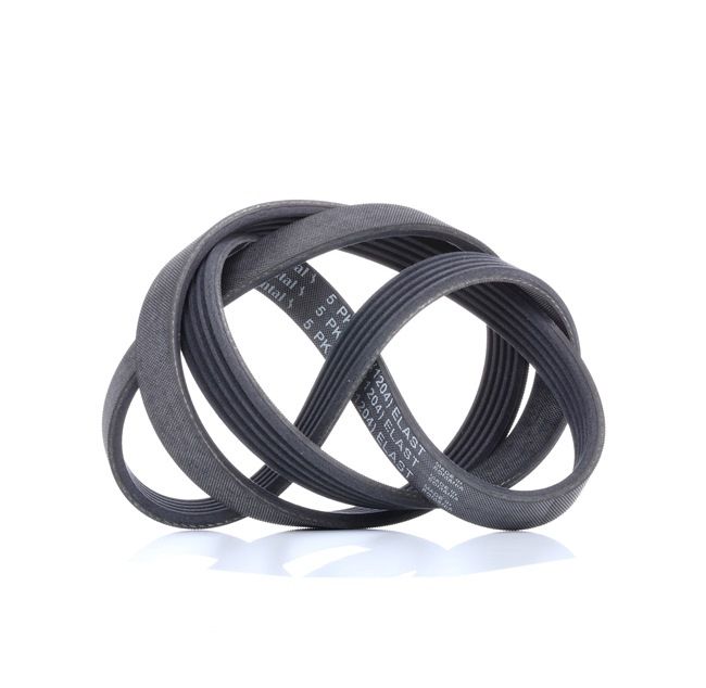 i10 Cinghia servizi 5PK1236 ELAST CONTITECH